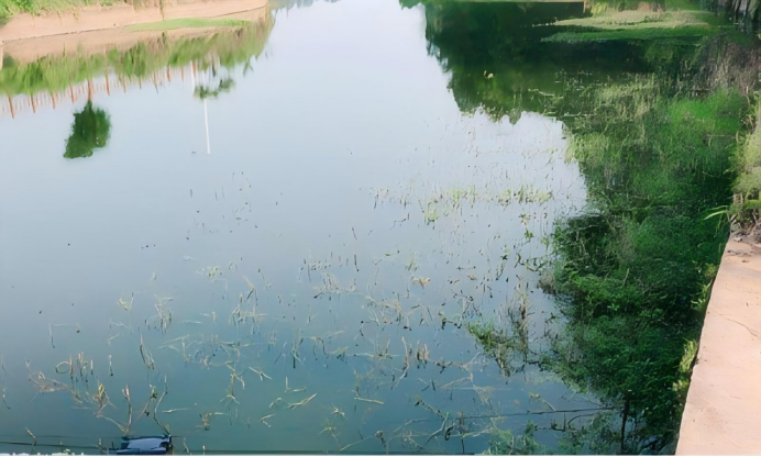 1774319884790039.png 圖片.png