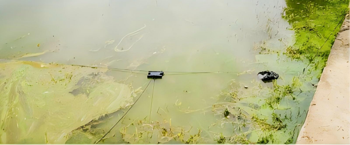 1774319897253326.png 圖片.png